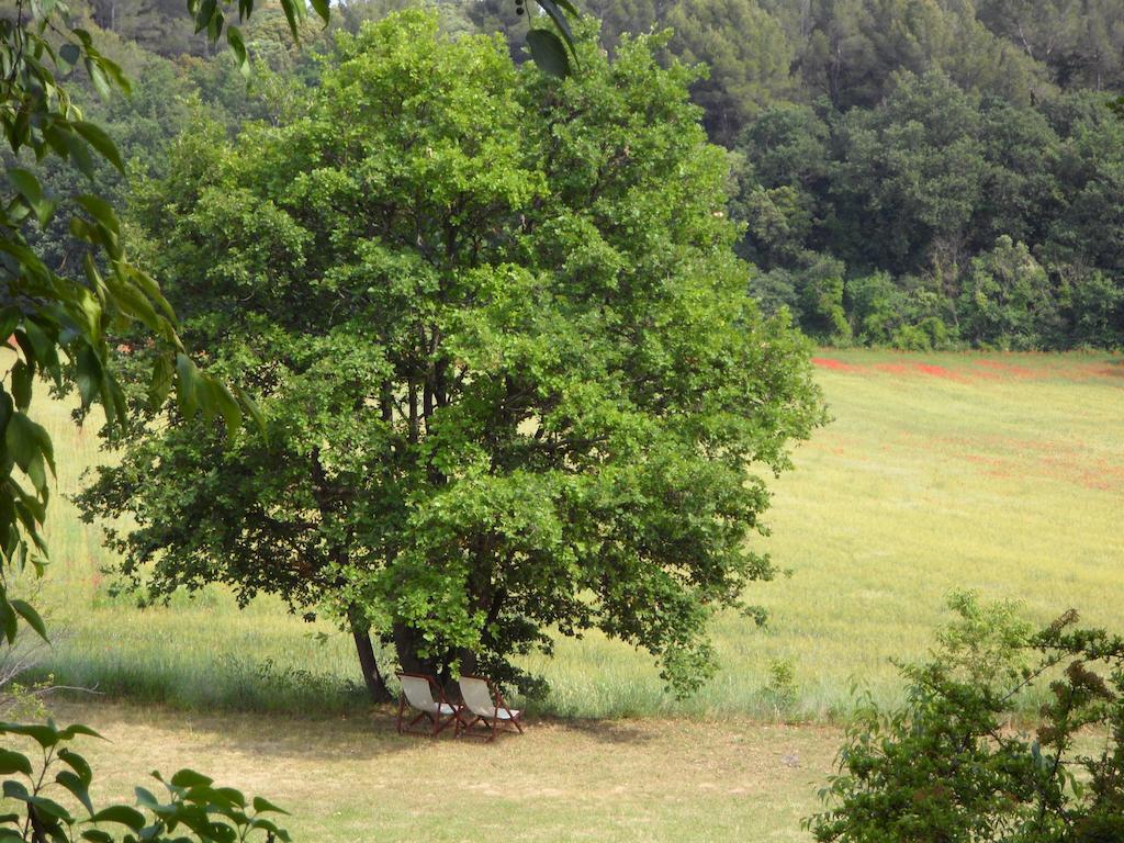 Bed and Breakfast Mas de Foncaudette Lourmarin Esterno foto