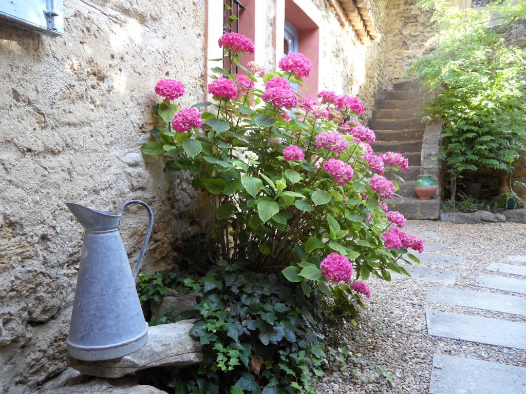 Bed and Breakfast Mas de Foncaudette Lourmarin Esterno foto
