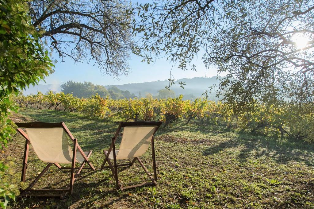 Bed and Breakfast Mas de Foncaudette Lourmarin Esterno foto