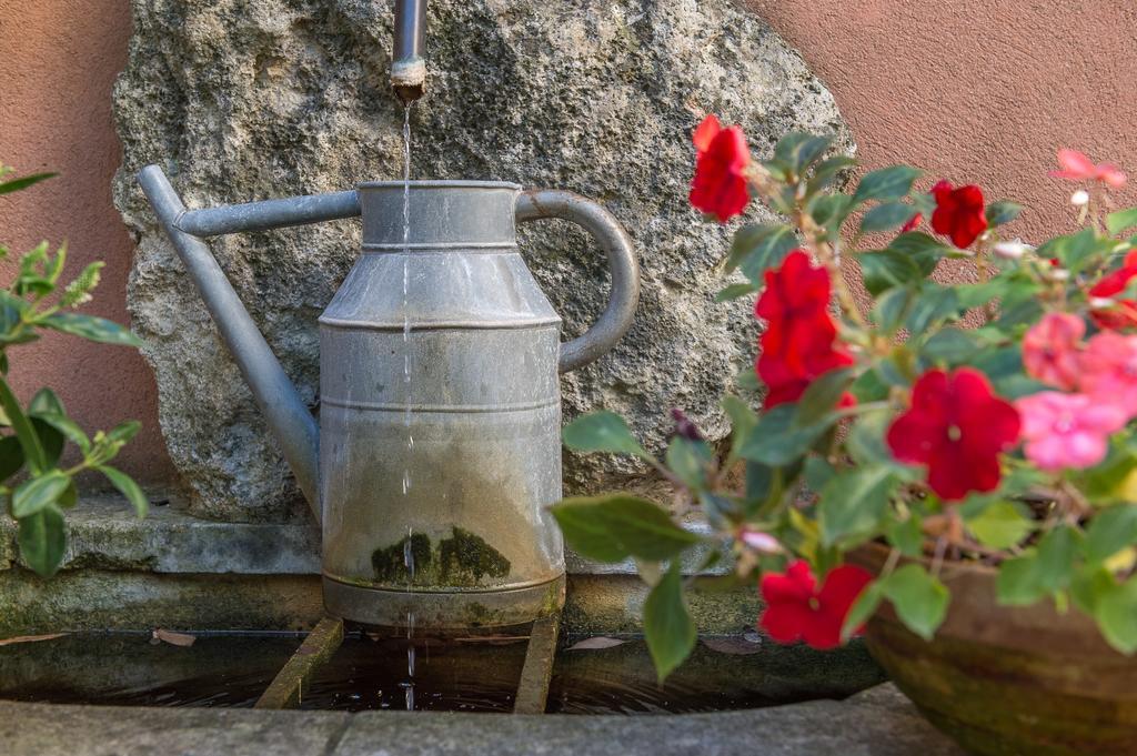 Bed and Breakfast Mas de Foncaudette Lourmarin Esterno foto