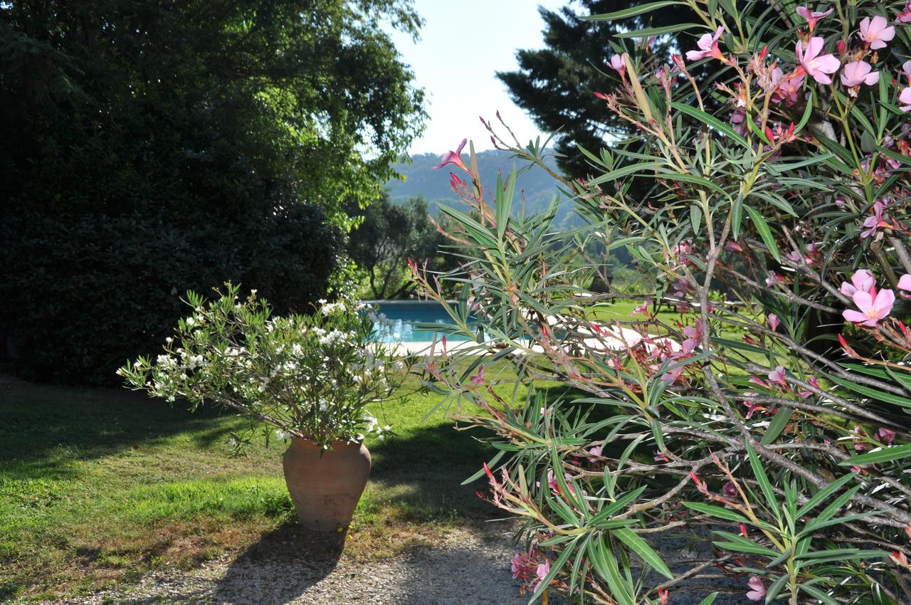 Bed and Breakfast Mas de Foncaudette Lourmarin Esterno foto