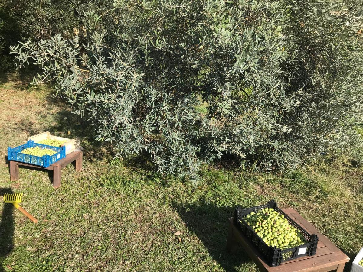 Bed and Breakfast Mas de Foncaudette Lourmarin Esterno foto